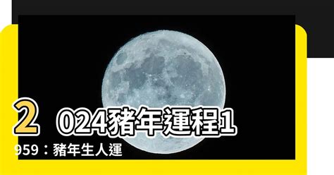 2024 屬性|五行專家：2024年運勢全解析